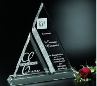 Kỷ Niệm Chương Thuỷ Tinh